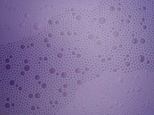 Dark on Light Purple Dots Painting